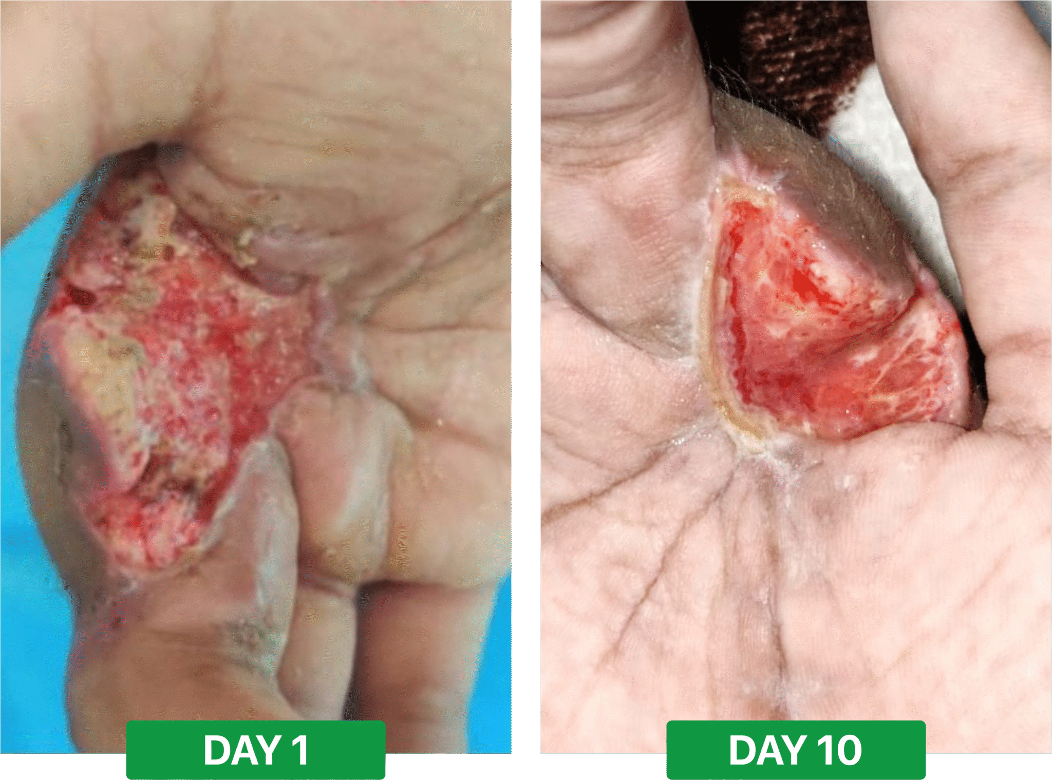 361869a7a669324e7dfcd3c8a4829e2e5ba8ba1c